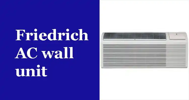 Friedrich AC wall unit